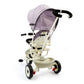 DLX Kids Tricycle
