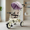 DLX Kids Tricycle