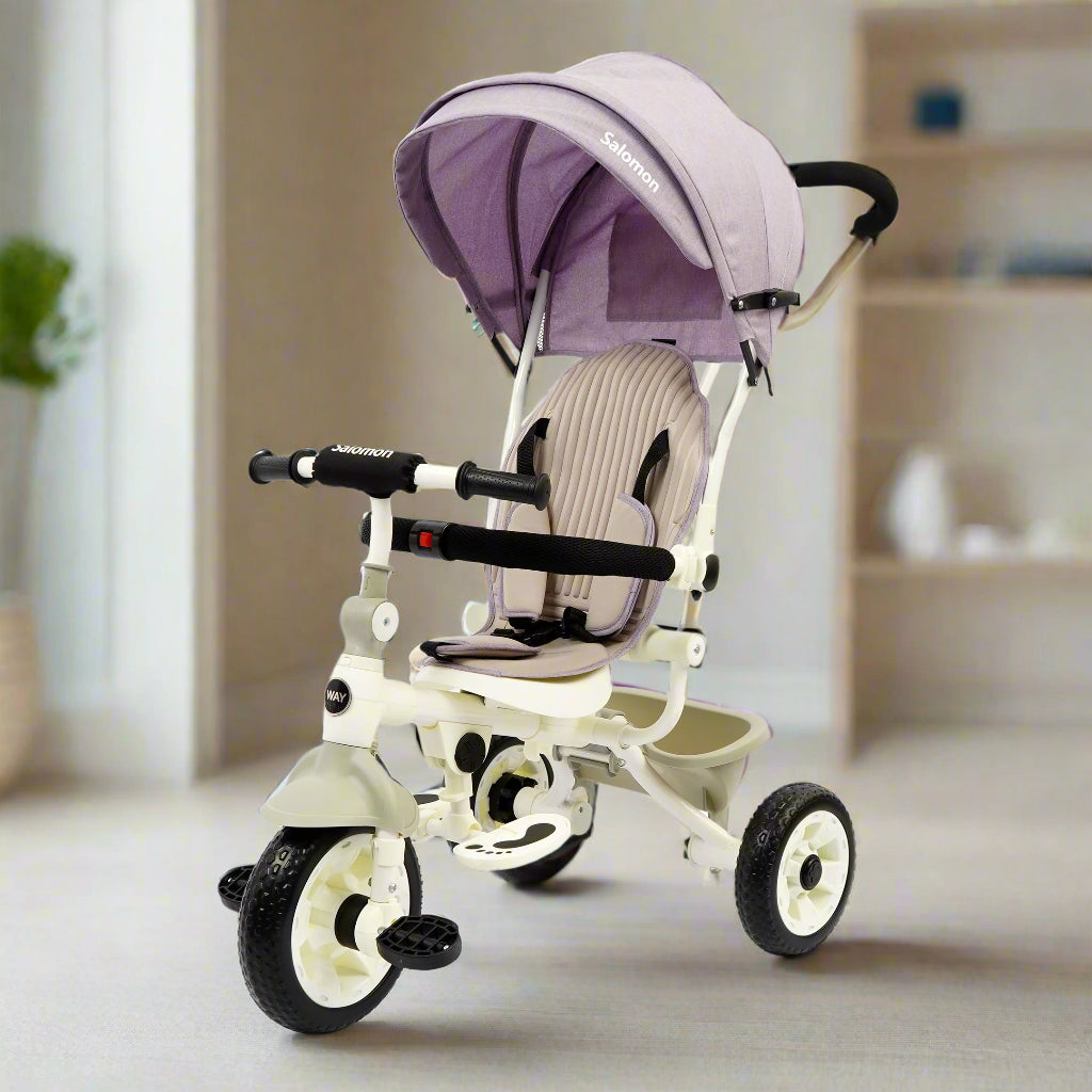 DLX Kids Tricycle