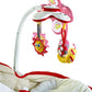 BABY BOUNCER  3 IN 1 TINY LOVE