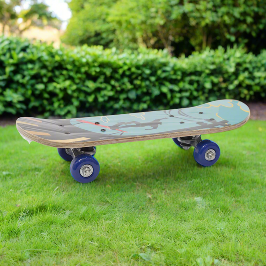 SKATE BOARDS