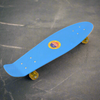 SKATE BOARDS
